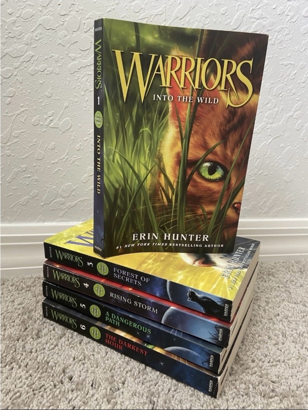 Warriors The Prophecies Begin Books 1 3 4 5 6